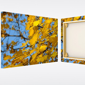 Texprint Canvas ART (rol 30m) - 137cm product foto default L