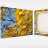 Texprint Canvas ART (rol 30m) - 137cm product foto default S